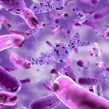 Disinfezioni batteriche e virali
